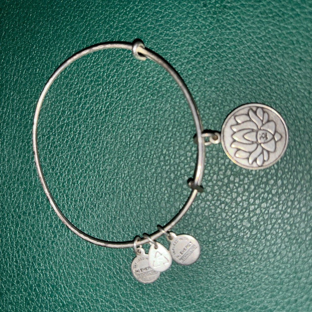 Alex and Ani bracelet